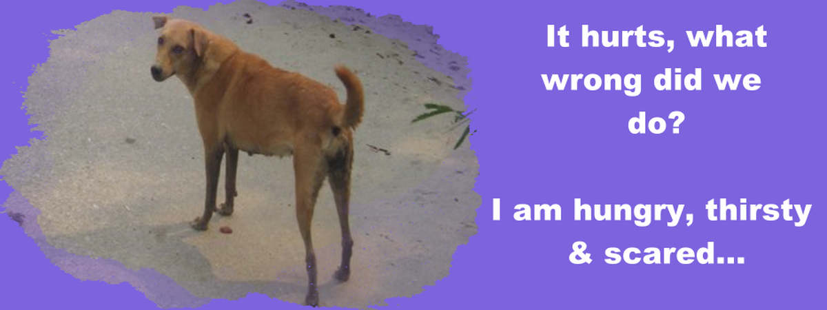 slide 2.png